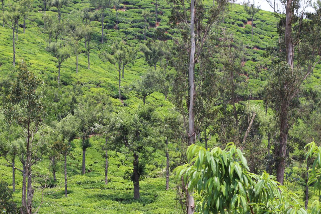 Rustling River Resort Ooty Exterior foto